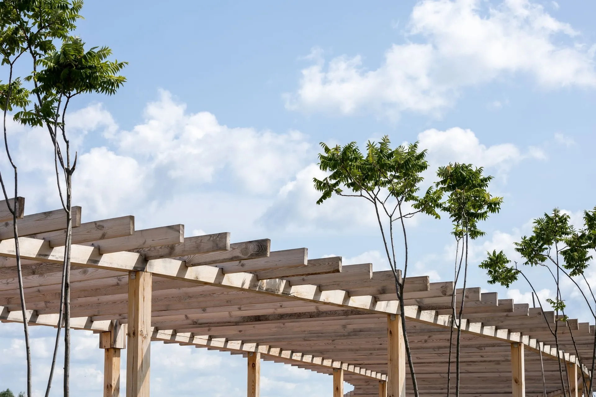 Timber pergola with exposed beams and rafters against a blue sky beside trees